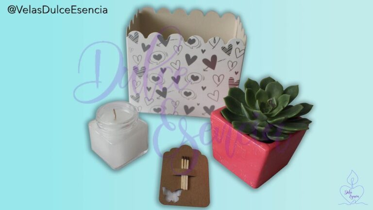 Kit Suculenta con Vela Aromatizada