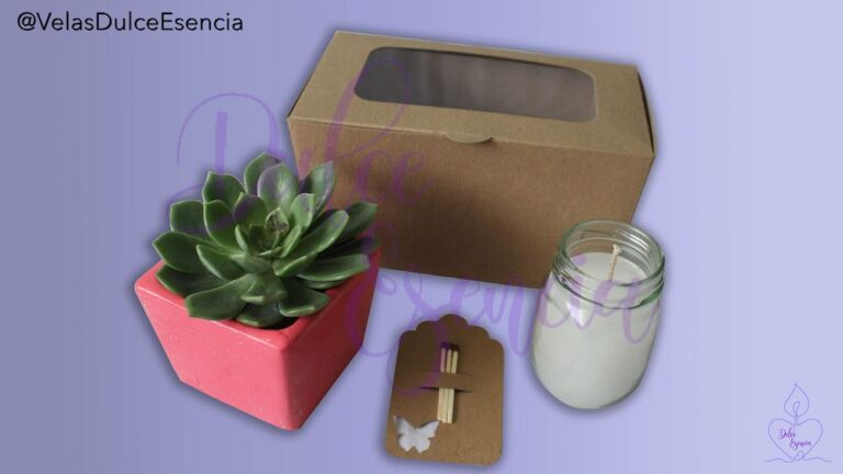 Kit Suculenta con Vela Aromatizada
