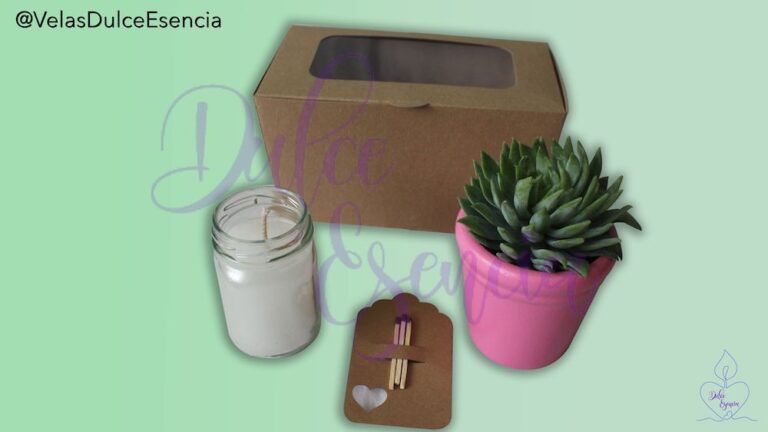 Kit Suculenta con Vela Aromatizada