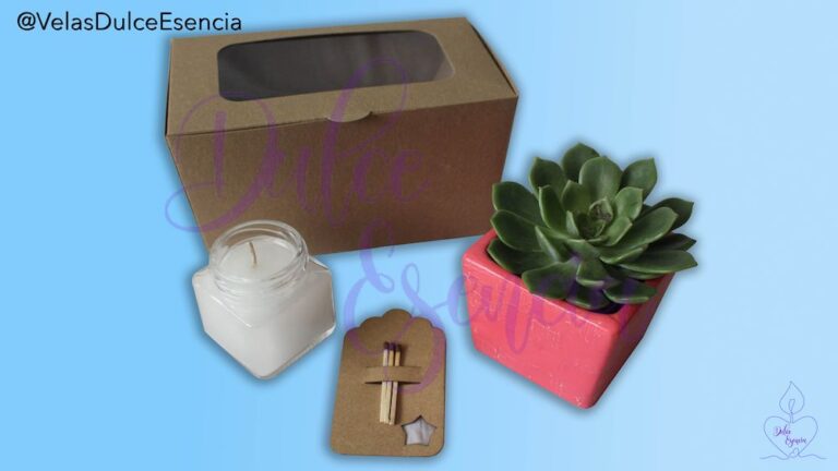Kit Suculenta con Vela Aromatizada