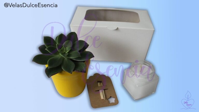 Kit Suculenta con Vela Aromatizada